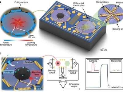 6381610442967242545357348