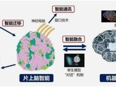 6385543193806250008844403