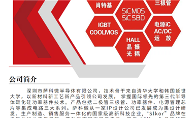 薩科微slkor公司是什么類型的企業(yè)？
