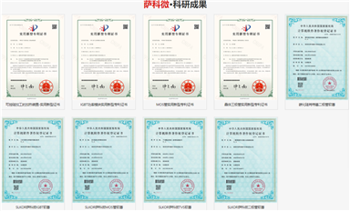 薩科微slkor的市場策略是什么？