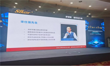 國產(chǎn)替代，逆勢崛起  中國半導(dǎo)體行業(yè)的未來展望
