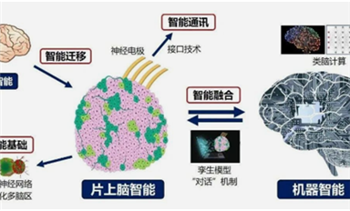 全球首創(chuàng)！中國(guó)研制出可開源的片上腦-機(jī)接口智能交互系統(tǒng)MetaBOC（薩科微7月1日芯聞）