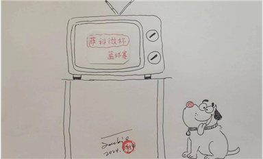2.854億部！2024年Q2全球智能手機(jī)出貨量同比增長6.5%（薩科微7月18日芯聞）