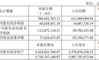 思瑞浦/南芯/帝奧微悲喜不相通，模擬電源的春天要等到2026年？
