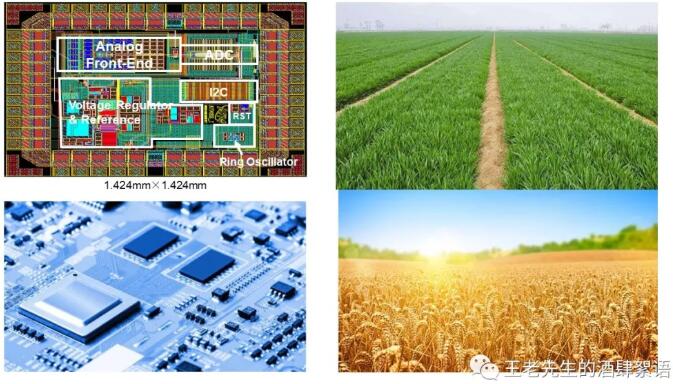 5c9843696b073582ace480c432f0e009